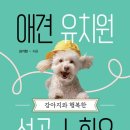 나무애견유치원 이미지