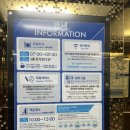 호텔마음 | 🌊부산 토요코인 호텔 오션뷰 솔직후기 | 가성비로 바다를 마음에 담아오다...