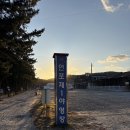 연포해수욕장(송림) 이미지