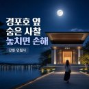 강릉더쉼표게스트하우스 | 강릉 인월사 처음 간다면 꼭 볼 4가지: 경포호 옆 현대 사찰의 숨은 관람법