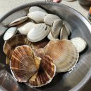 스위트밸리 이미지