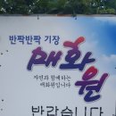 김상만농장 Daum카페