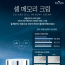 스템잇 이미지