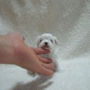 (주)아라마루 이미지