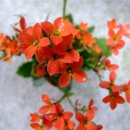 기다리는 마음 이미지