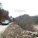 리버(B)펜션 이미지