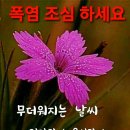 늘한결