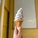 무창기계 앞 녹지지역 | [일본/홋카이도] 겨울 낭만은 홋카이도에 다 있었네