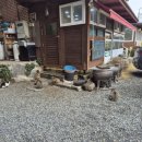 시락한바다횟집 이미지