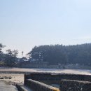 6월펜션 | 6월 국내 여행지 추천 서해 태안 여행 갈만한곳 조개체험 펜션 후기