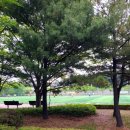 근린공원(게이트볼장옆)화장실 이미지