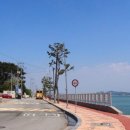 간월도2길 이미지