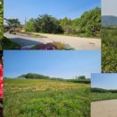 힐링 와인교실 이미지