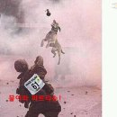 파트라슈 네이버블로그