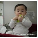 푸켓 쉐라톤 여행이야기..1