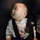 장성연합의원 | [육아일기] 💉 “3초 만에 뿌엥😭” 도희 독감 2차 접종, 한층 강해진 우리 아기💗