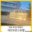 스테이펫_호텔 | 겨울 강릉 반려견 애견동반 여행_세인트존스 호텔 펫룸 후기