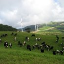 화원목장 이미지