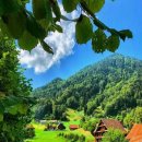 공공용 80 이미지