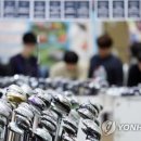 캐디세상
