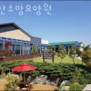 황산면사무소 | 해남요양원 황산소망요양원 위치