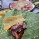 진성횟집 | [공지] [창원 근교 맛집] 향어와 매운탕을 잘하는 진또배기 맛집_ 진성횟집(내돈내산)