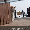 복천약수터 | 부산 영도 중심부에 위치한 봉황이 날아드는 산 봉래산 등산 후기!