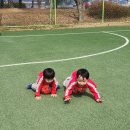 보람아트브레인어린이집 이미지