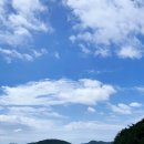 선촌가는길