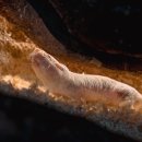 CW-1050-01 이미지