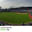 달성나무병원 이미지
