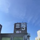 화원5일시장 | 가성비 웨딩촬영 부케 양재 오이화원 솔직후기(+추천 반, 비추 반)