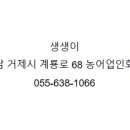 생생이 이미지