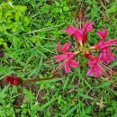 선암농장 이미지