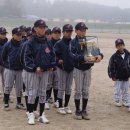 제주남초등학교 이미지