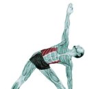 천무태권도 이미지