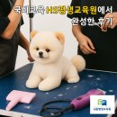 (주)더에이치에스 | 국비교육 HS평생교육원(에이치에스평생교육원)에서 완성한 후기