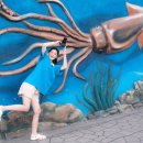 영금정활어회센터 이미지