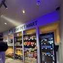 관덕 | 홍천] 내 돈 내산, 독채 애견 동반 감성 펜션 “풀 스테이 스테이펫 홍천” 37평형 “보리” 후기 2탄