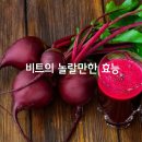 비트 효능 이미지