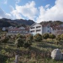 대아울릉리조트펜션 이미지