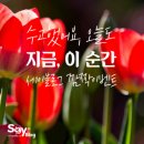 세이미용실 이미지