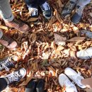 둘레길 동물병원 이미지