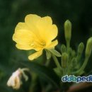 세븐웰약국 이미지