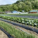 덕산정육점 - 마포구 토정로31길 51-8 | 덕산정육점
