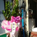 천일 건강원 이미지