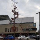 만년동주민센터 이미지