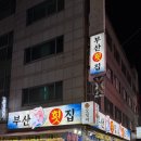 히노쇼군(남포점) | 남포동 맛집 부산횟집 자연산 돌돔 먹고 온 자갈치 횟집 후기