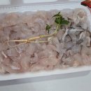 부부로2 | 감포횟집 경주 수산시장 부부수산 모듬회 포장 후기