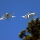 가온누리 태권도 이미지